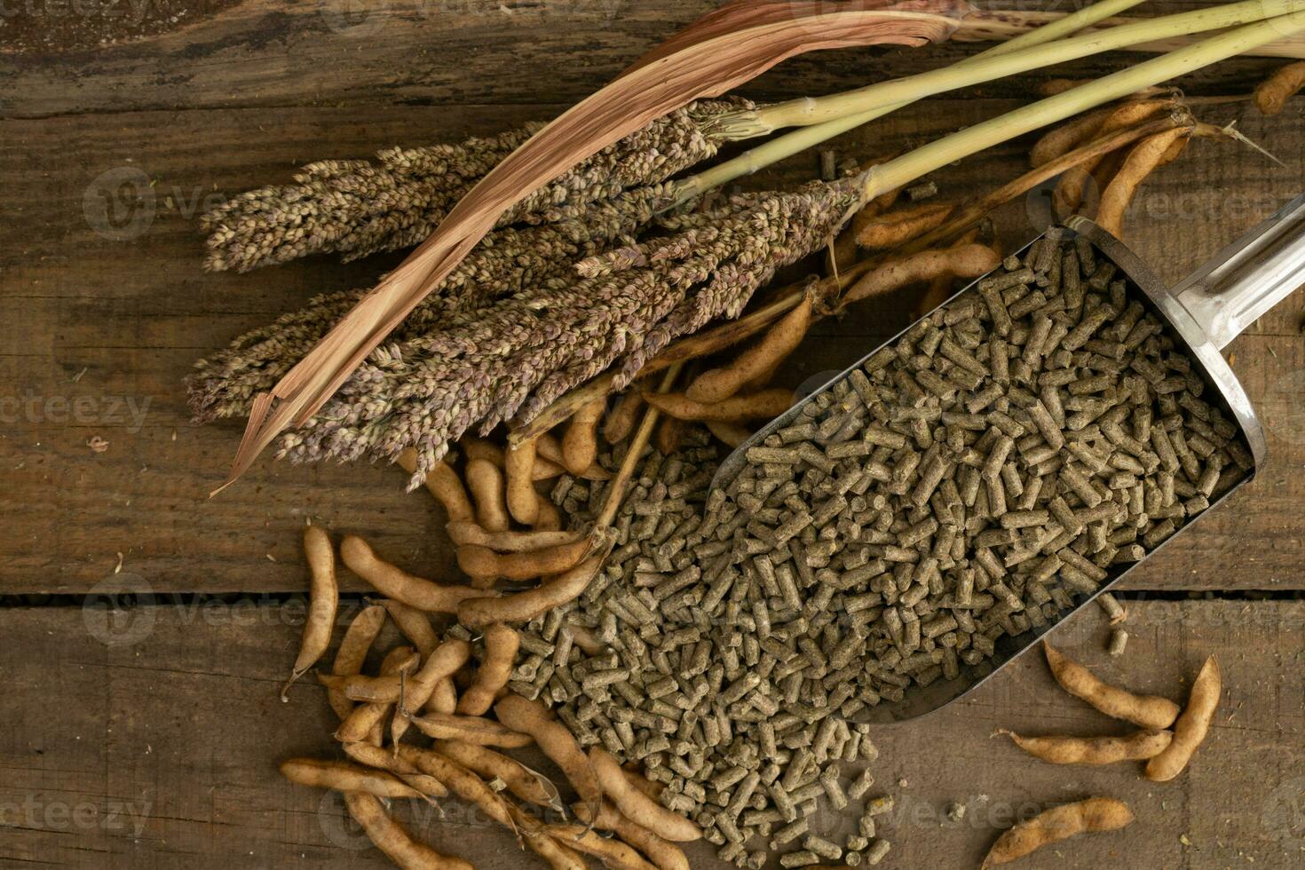 sorghum and soy based feed for pigs and chickens photo