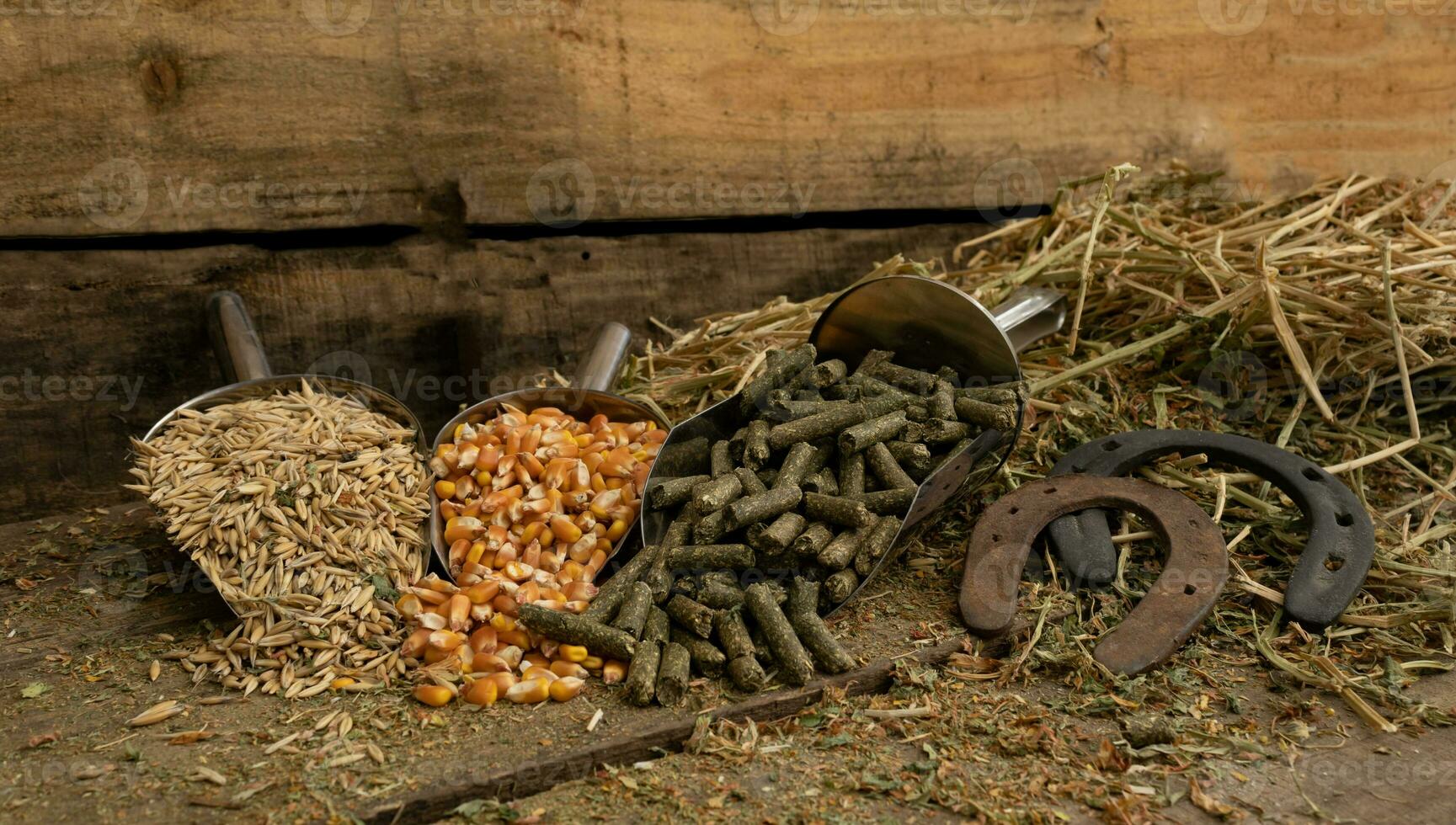 shovel spoons with horse food ingredients photo