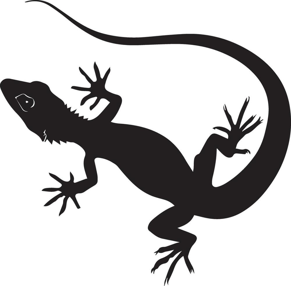 Lizard vector silhouette illustration black color