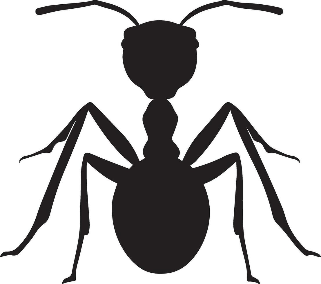 Ant vector silhouette illustration black color