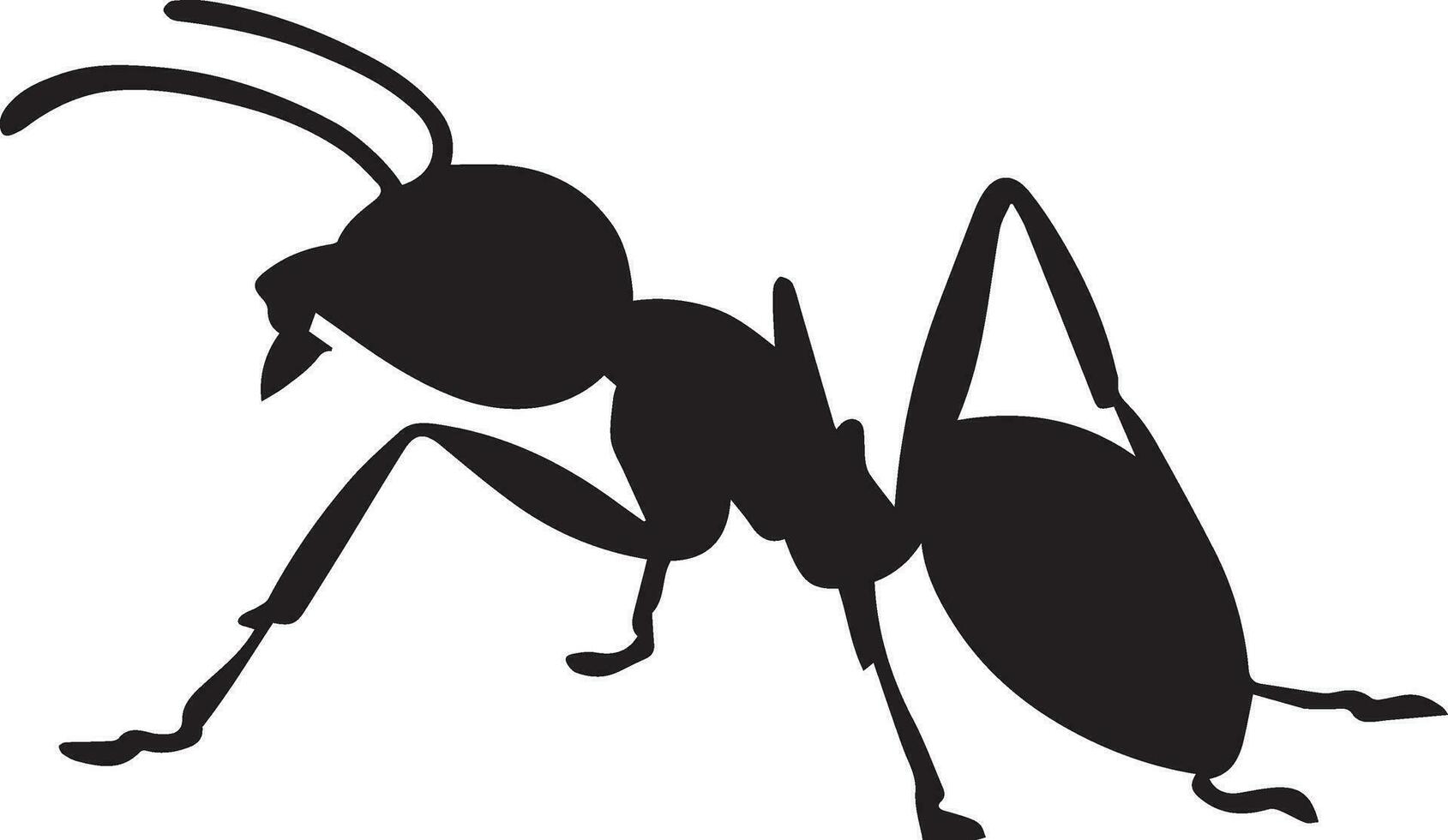 hormiga vector silueta ilustración negro color