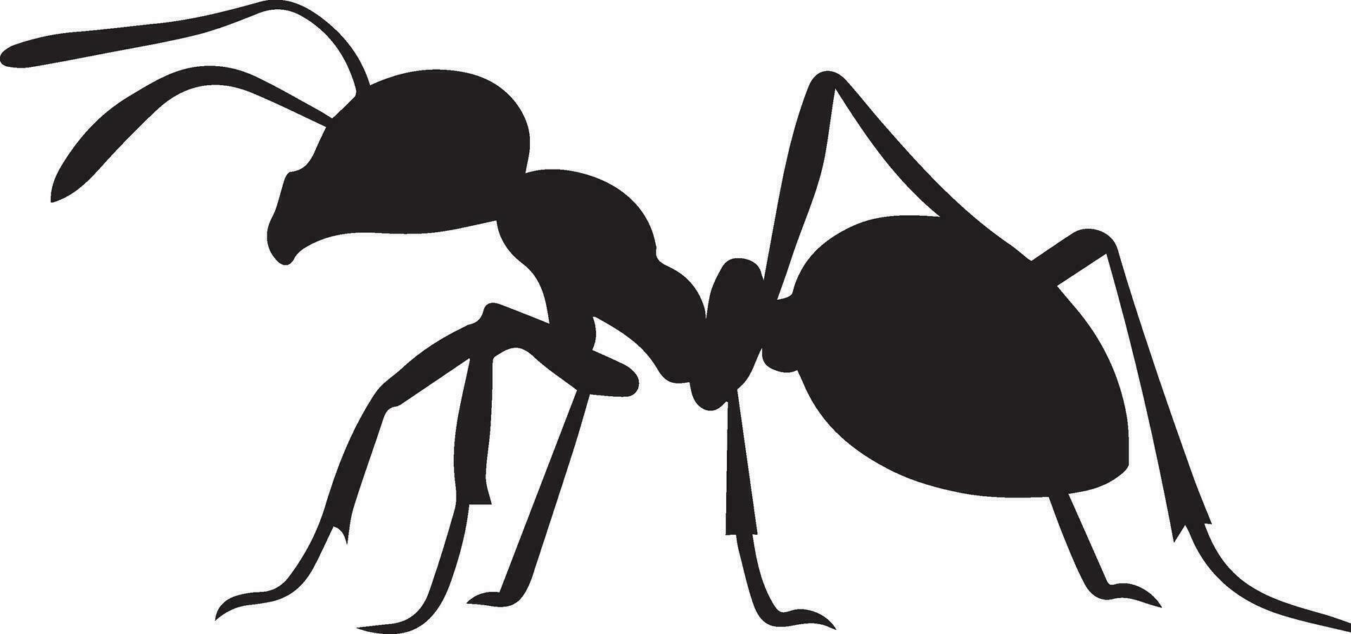 Ant vector silhouette illustration black color