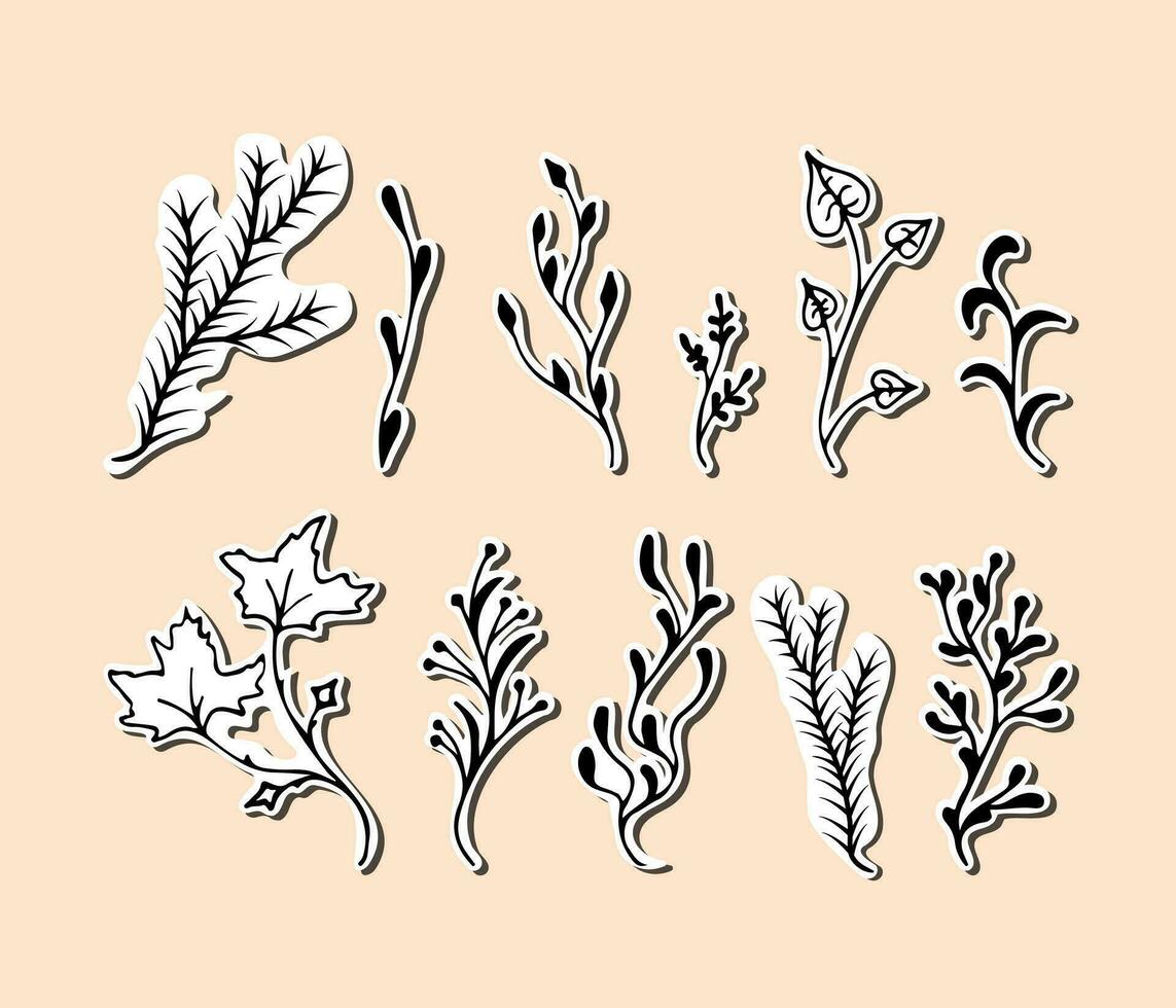 vector black on white stickers Branches. Twigs maple, aspen, coniferous, herb illustration.