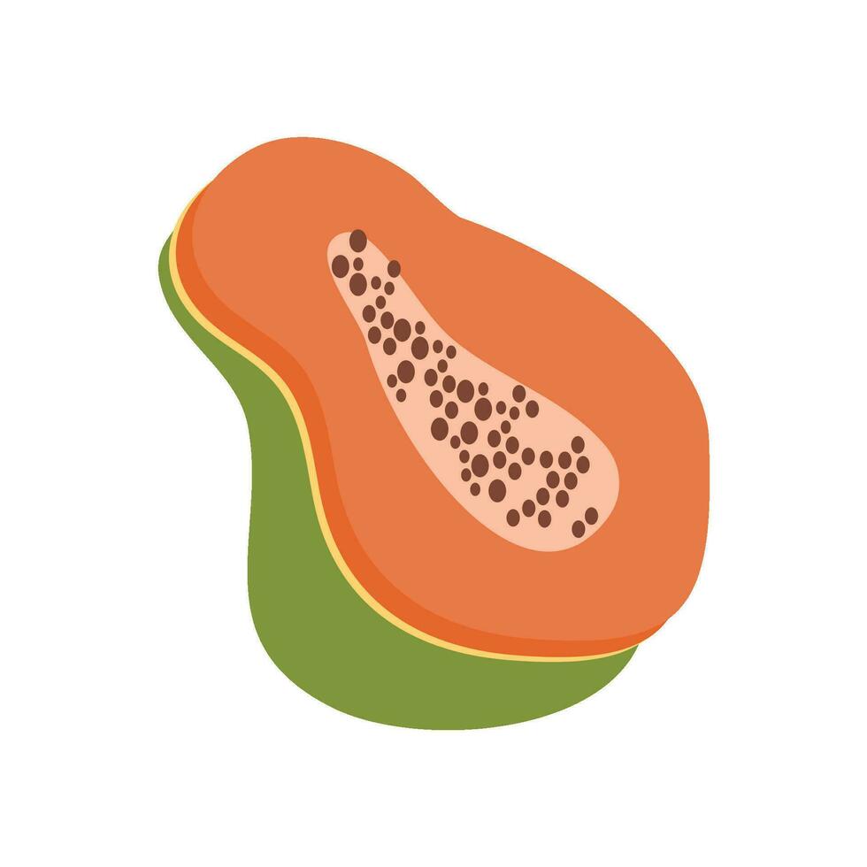 maduro papaya tropical Fruta con semillas ilustración vector