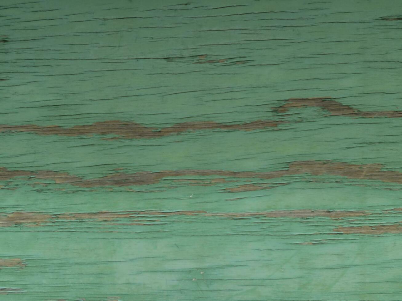 green wood background photo