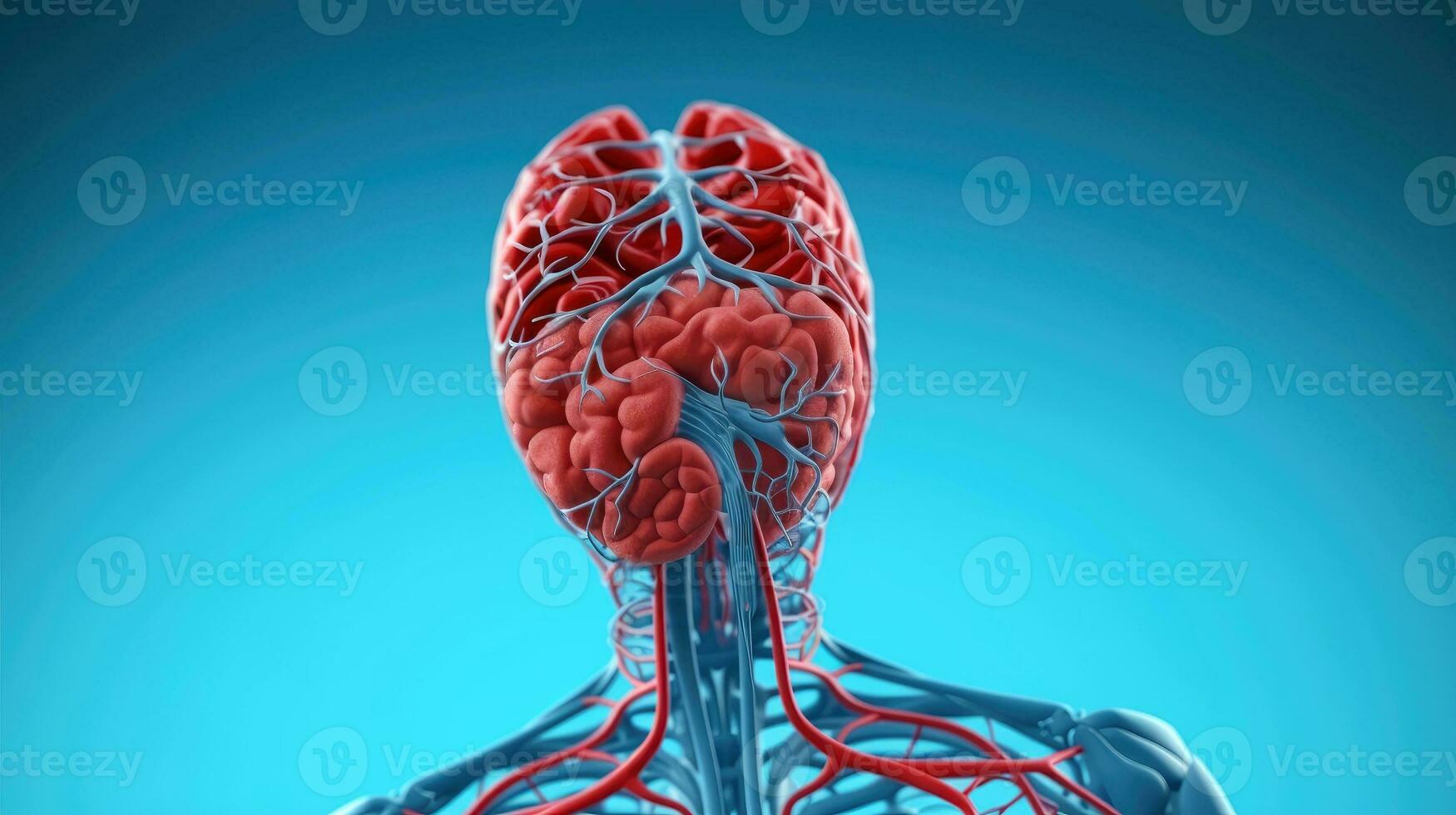 3D illustration mockup of the human organ system, Anatomy, Nervous, circulatory, digestive, excretory, urinary,and bone systems. Medical education concept, Generative AI illustration photo