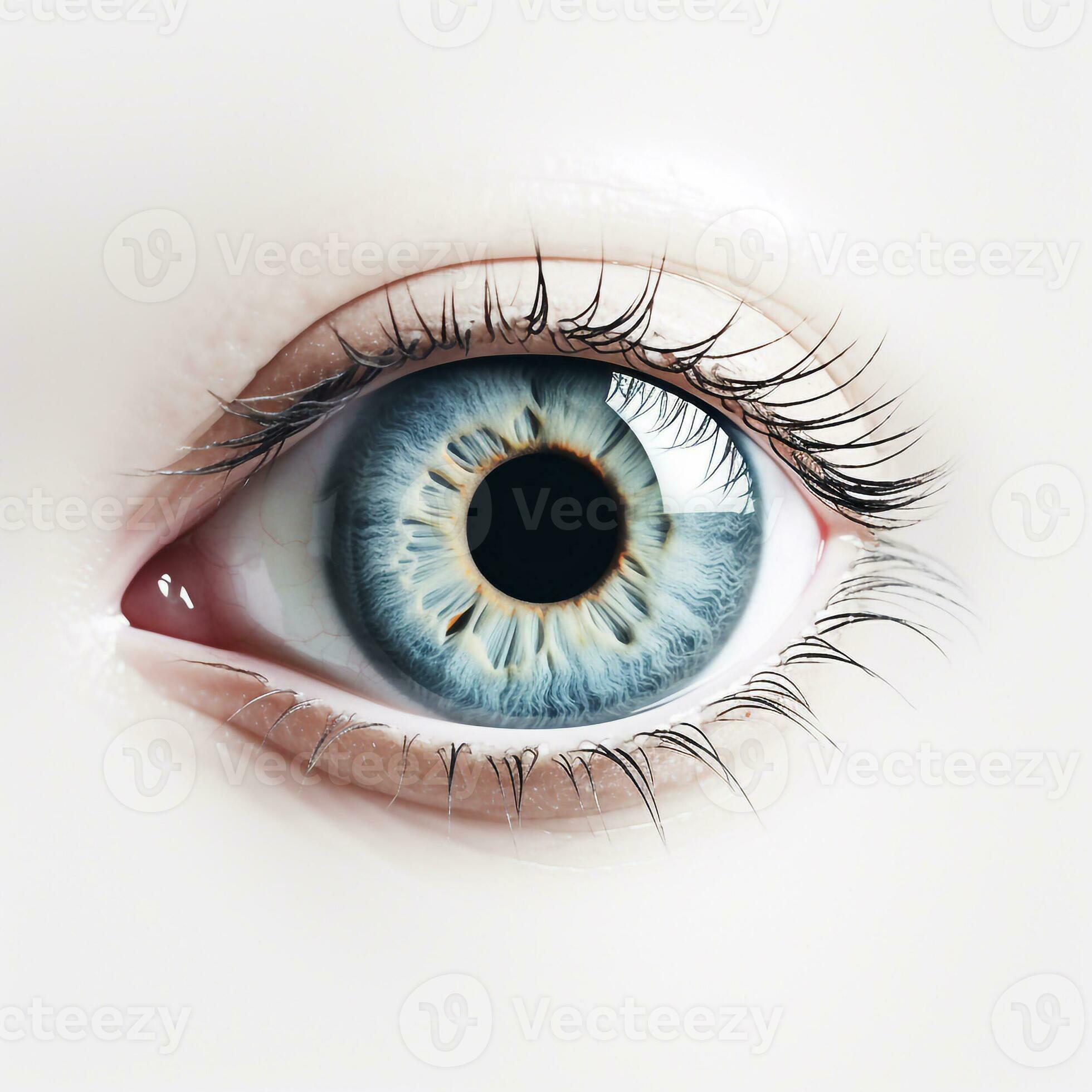 Beautiful round eye with eyelashes and pupil looking ahead is shown