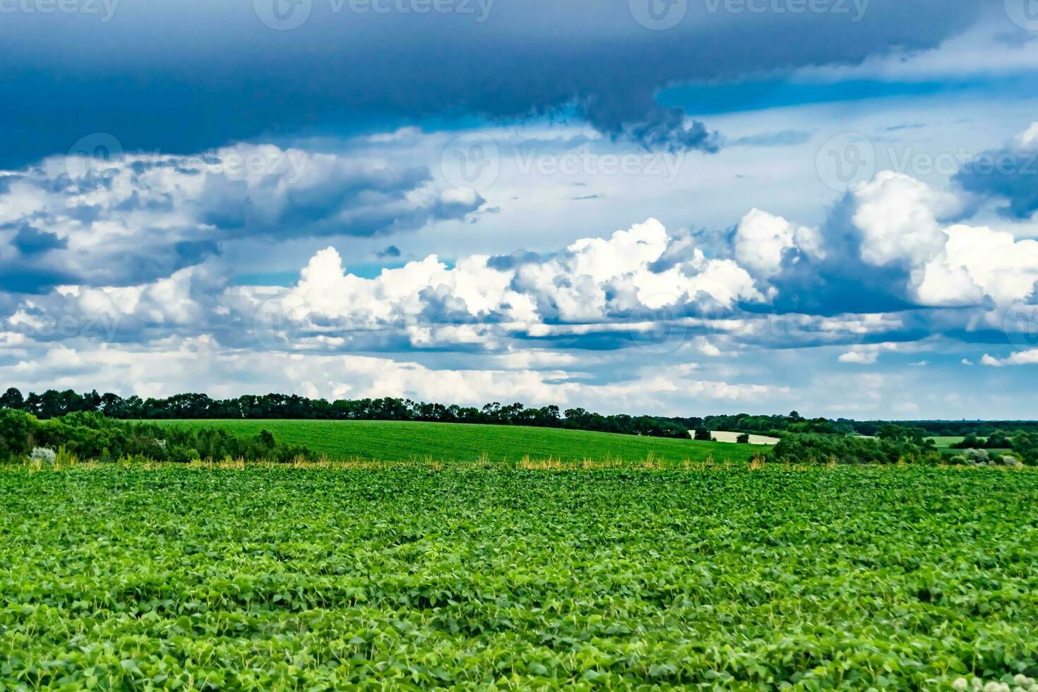 Beautiful horizon scenery in village meadow on color natural background photo