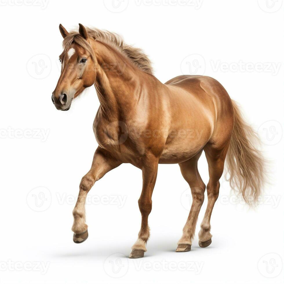 Beautiful big beast horse looking forward is shown in full length, Ai generated photo