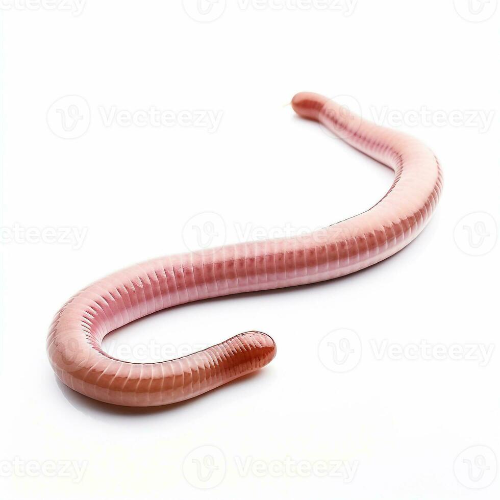 Beautiful big wild earthworm looking forward is shown in full length, Ai generated photo