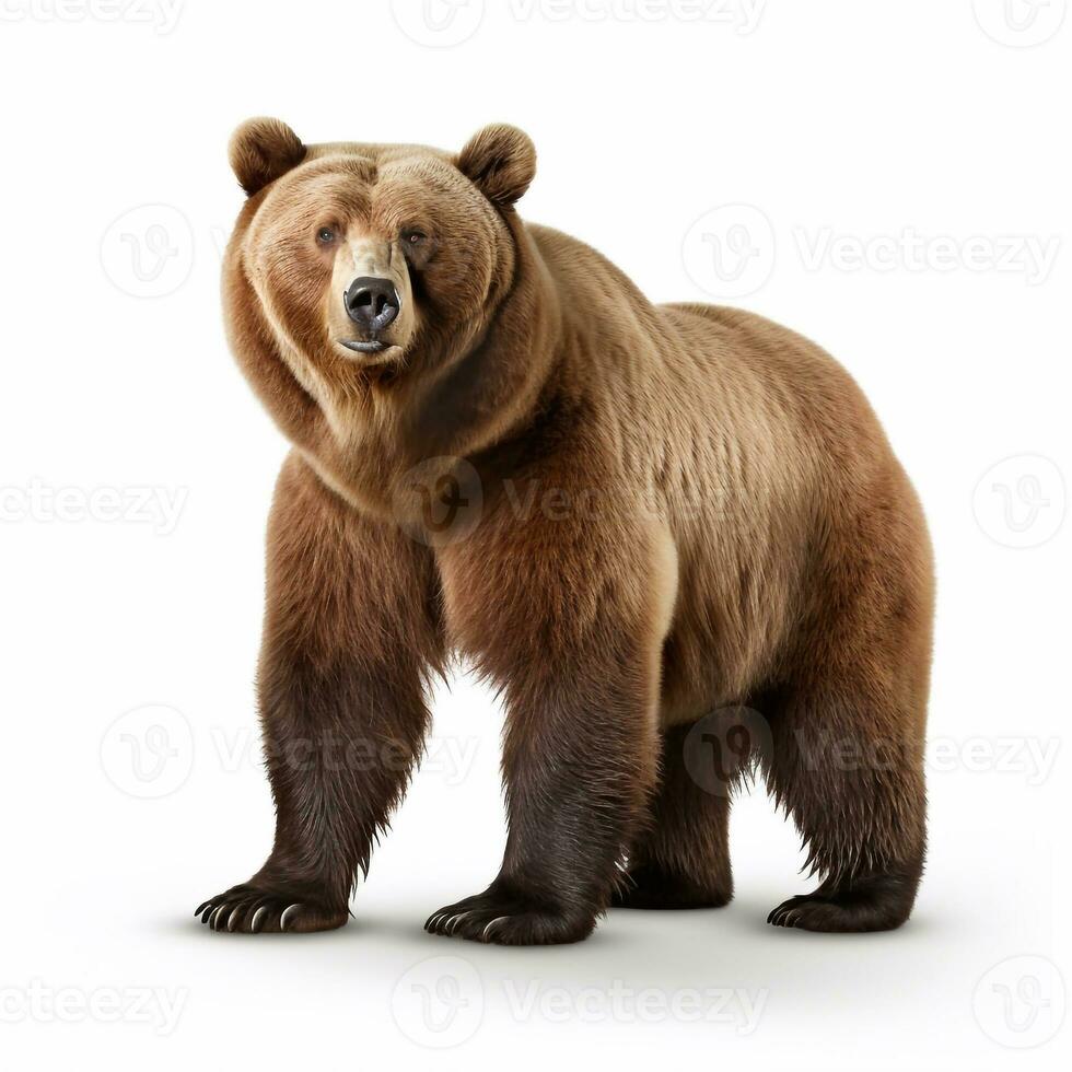 Beautiful wild beast bear looking forward is shown in full length, Ai generated photo