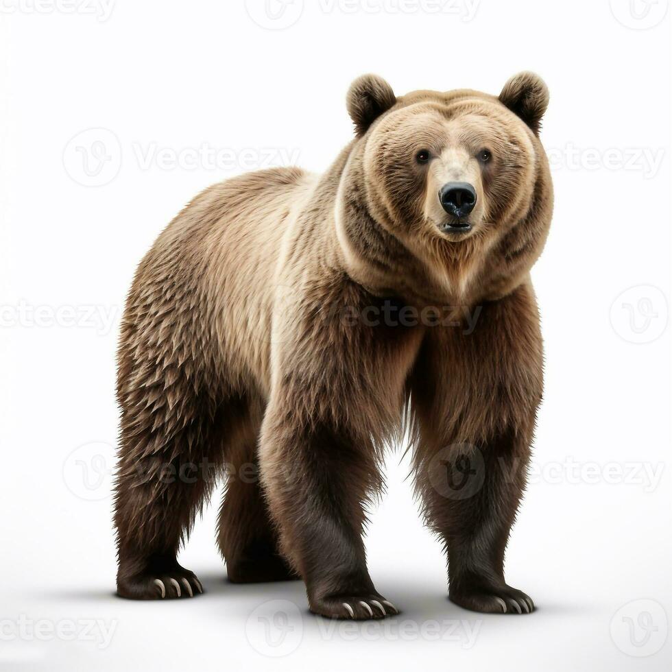 Beautiful wild beast bear looking forward is shown in full length, Ai generated photo