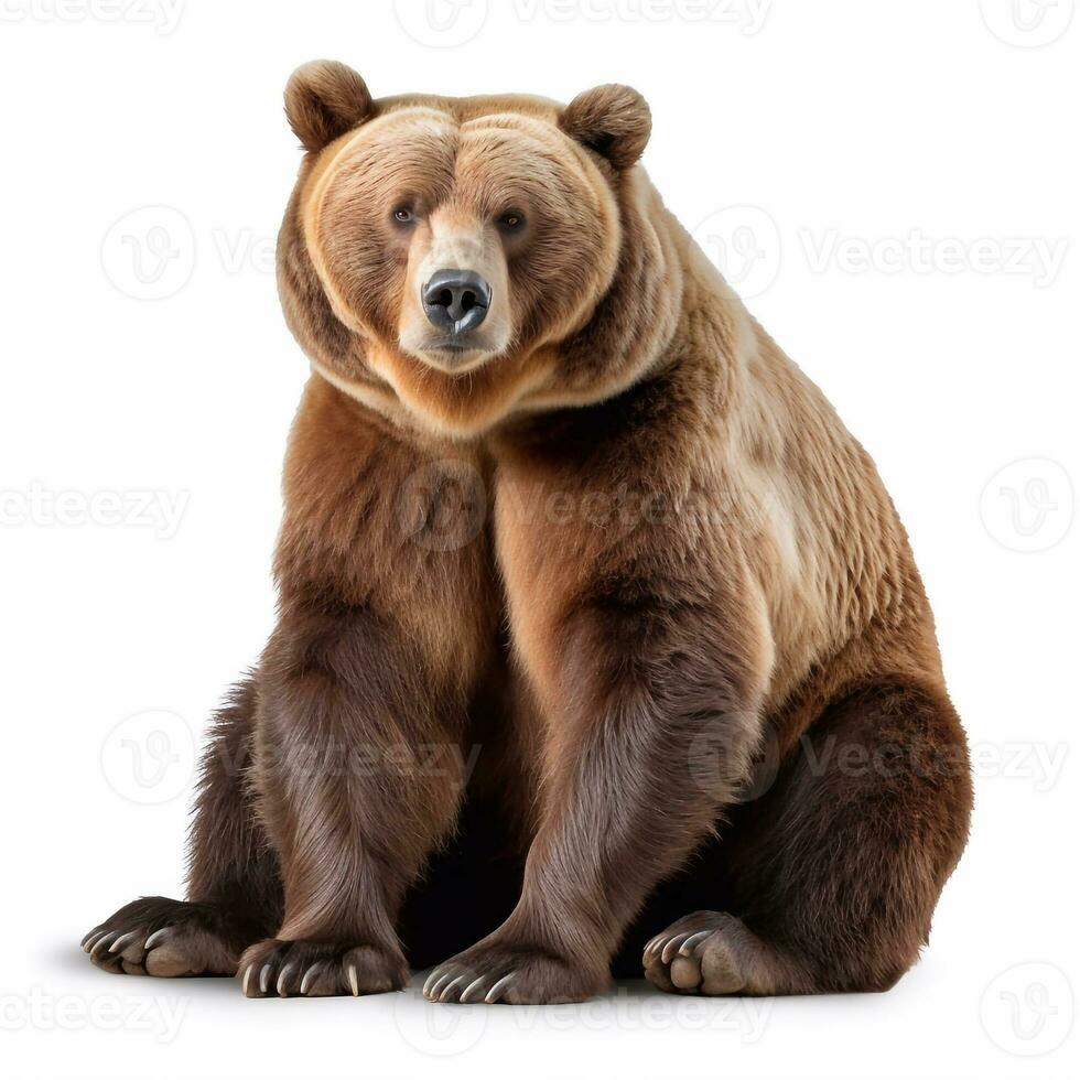 Beautiful wild beast bear looking forward is shown in full length, Ai generated photo