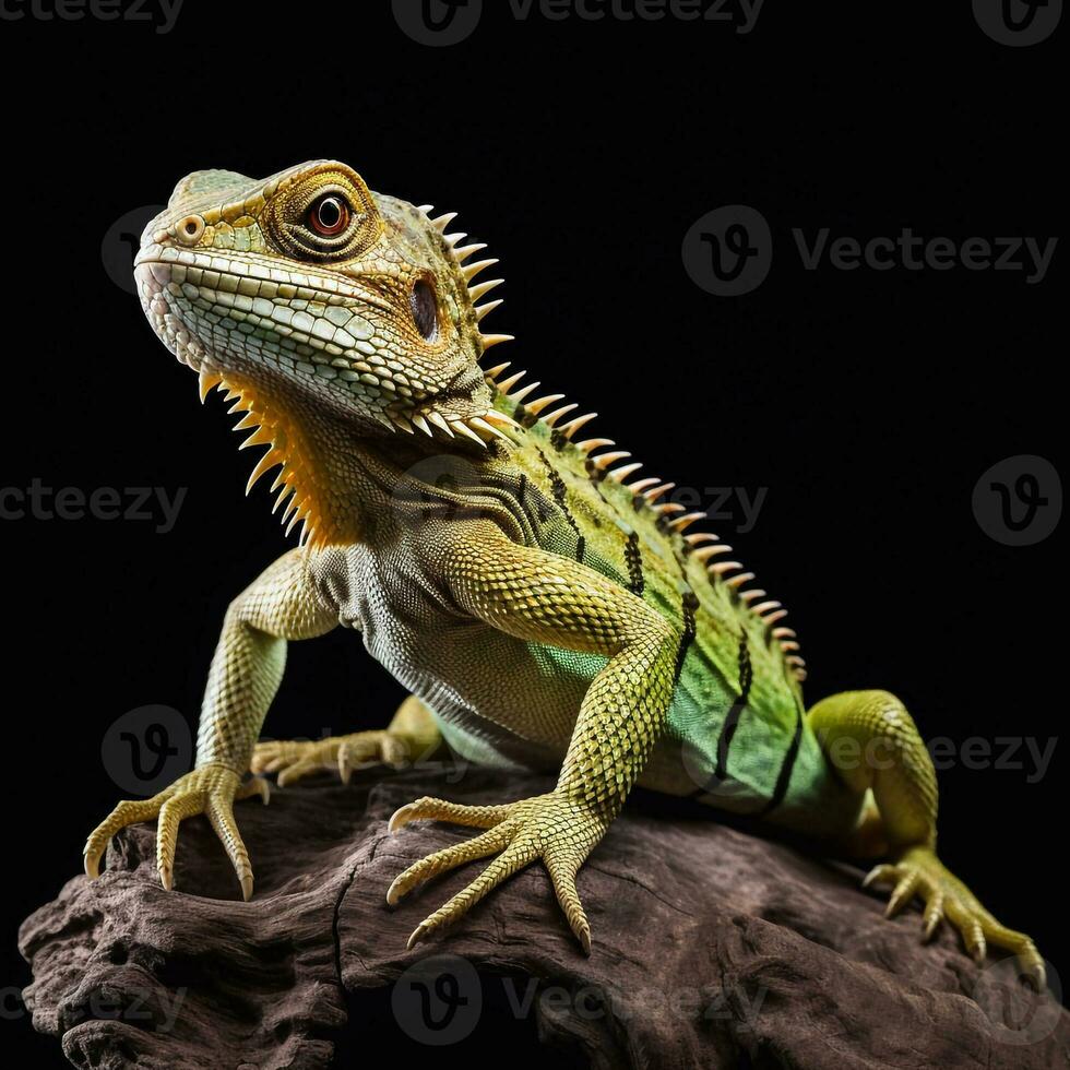 Beautiful big beast lizard looking forward is shown in full length, Ai generated photo