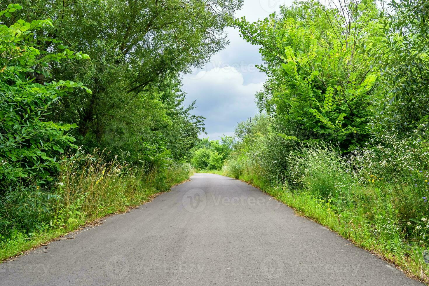 Beautiful empty asphalt road in countryside on colored background