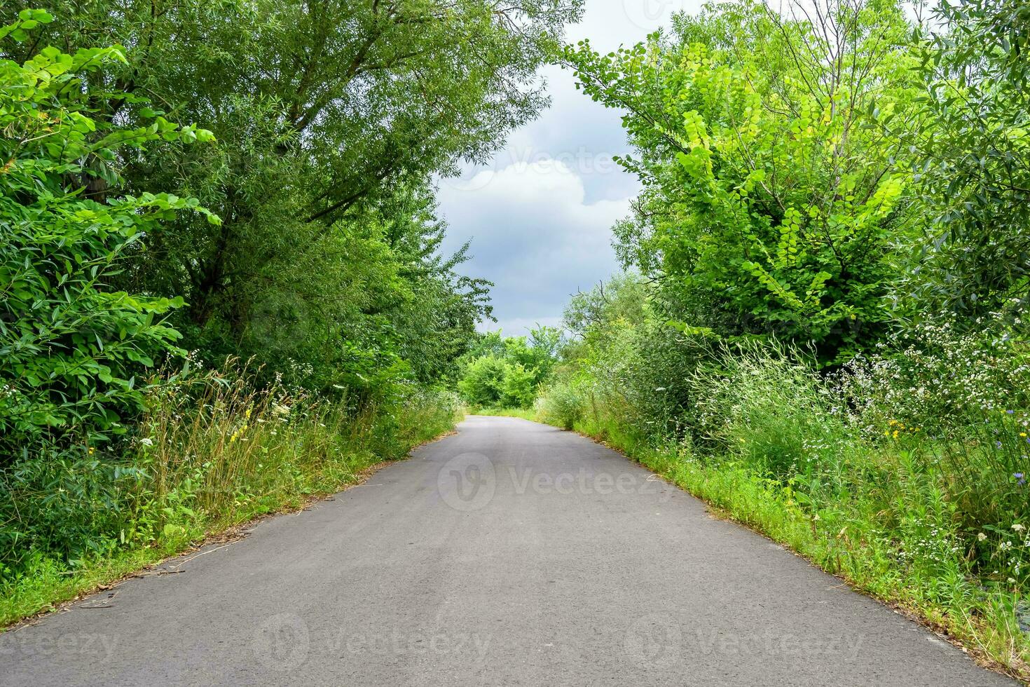 Beautiful empty asphalt road in countryside on colored background photo