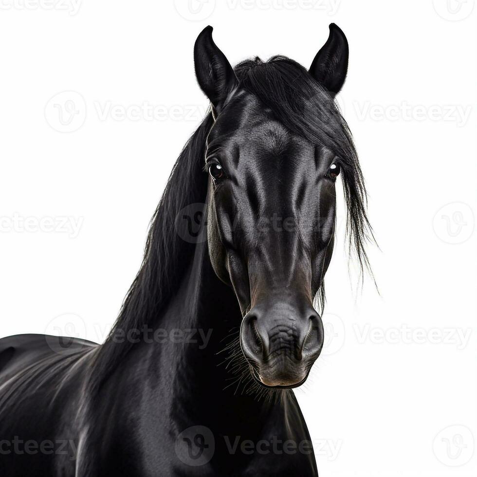 hermosa grande bestia caballo mirando adelante es mostrado en lleno longitud, ai generado foto