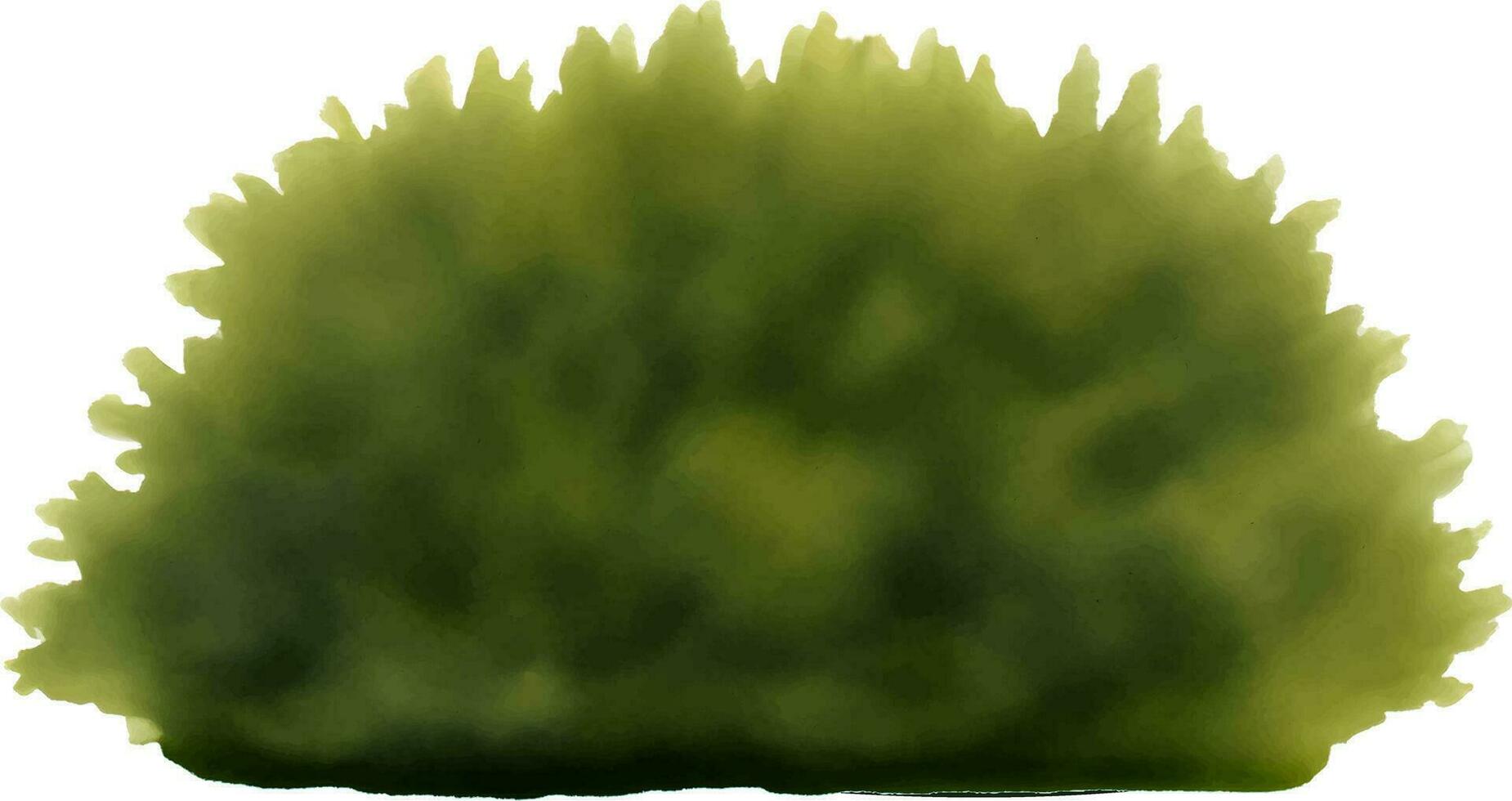 Beautiful Bushes Hand Drawn Watercolor Painting vector