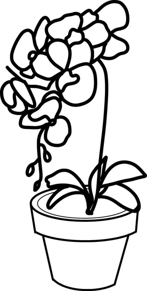 sketch of orchid flower vector