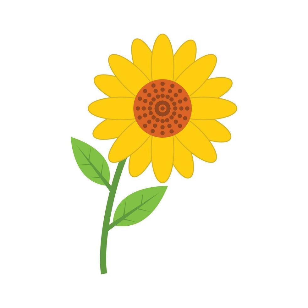 Sun Flower Vector Art on white Background