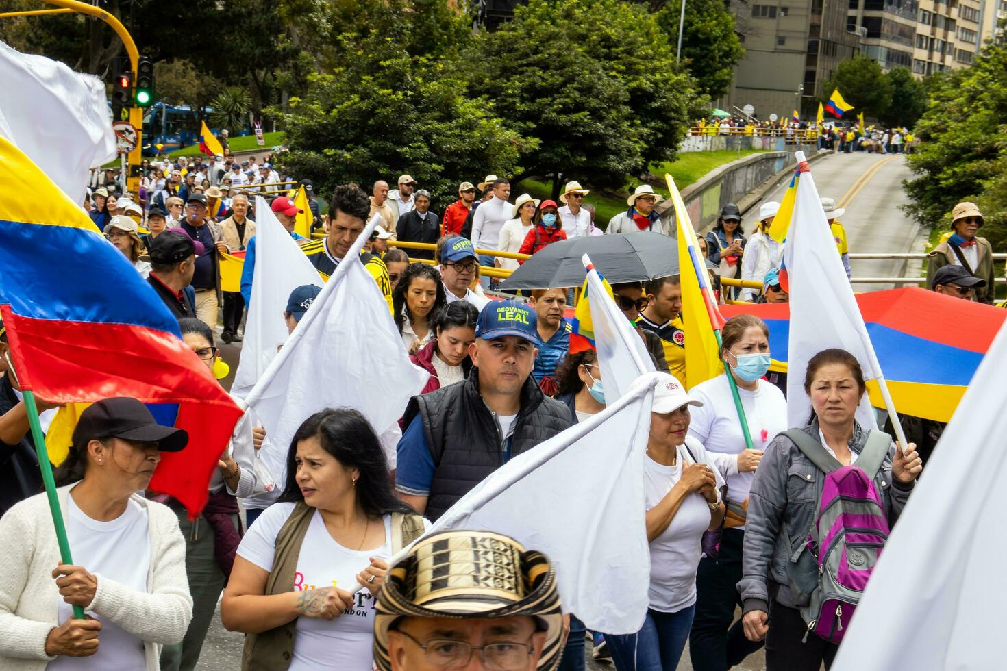 bogotá, Colombia, dieciséis agosto 2023. marzo preguntando para gustavo petro el proceso de destitución. pacífico protesta marzo en bogota Colombia en contra el gobierno de gustavo petro llamado la marcha Delaware la mayoria foto