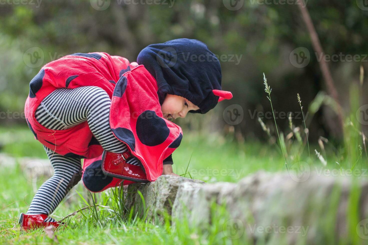 Little baby girl wearing a ladybug costume. Halloween concept. photo