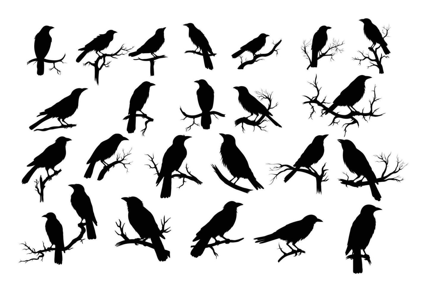 crows on tree branch silhouette vector