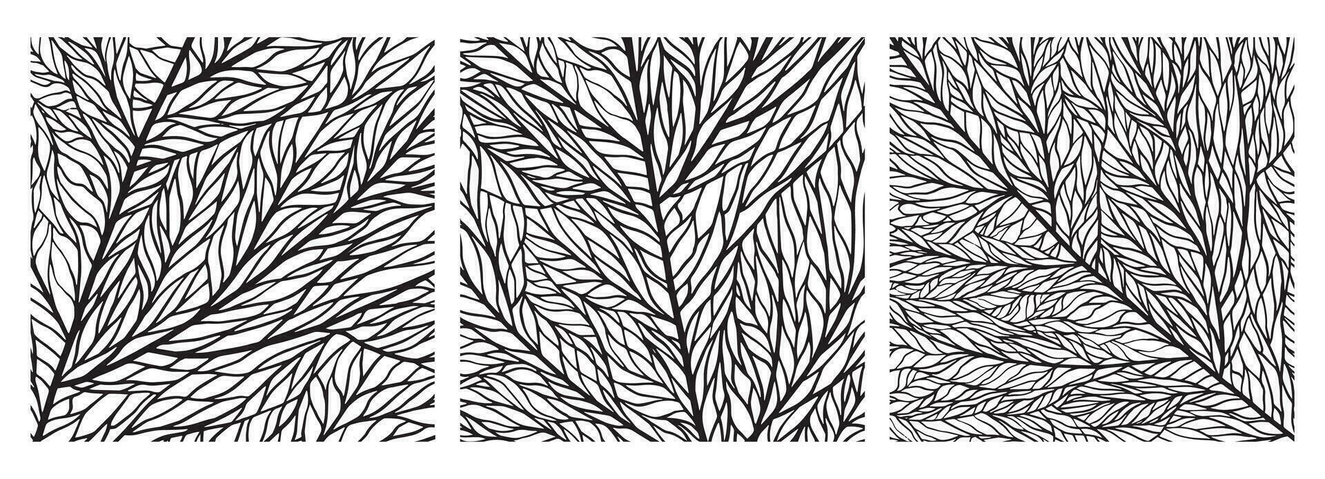 conjunto de hoja texturas con las venas y células. negro y blanco cerca arriba hoja modelo. hoja estructura. mosaico ornamento de macro textura de plantas vector