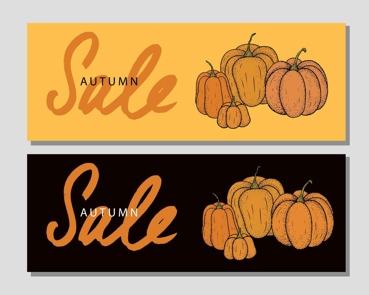 Template with different pumpkins for banner. Autumn sale lettering. vector