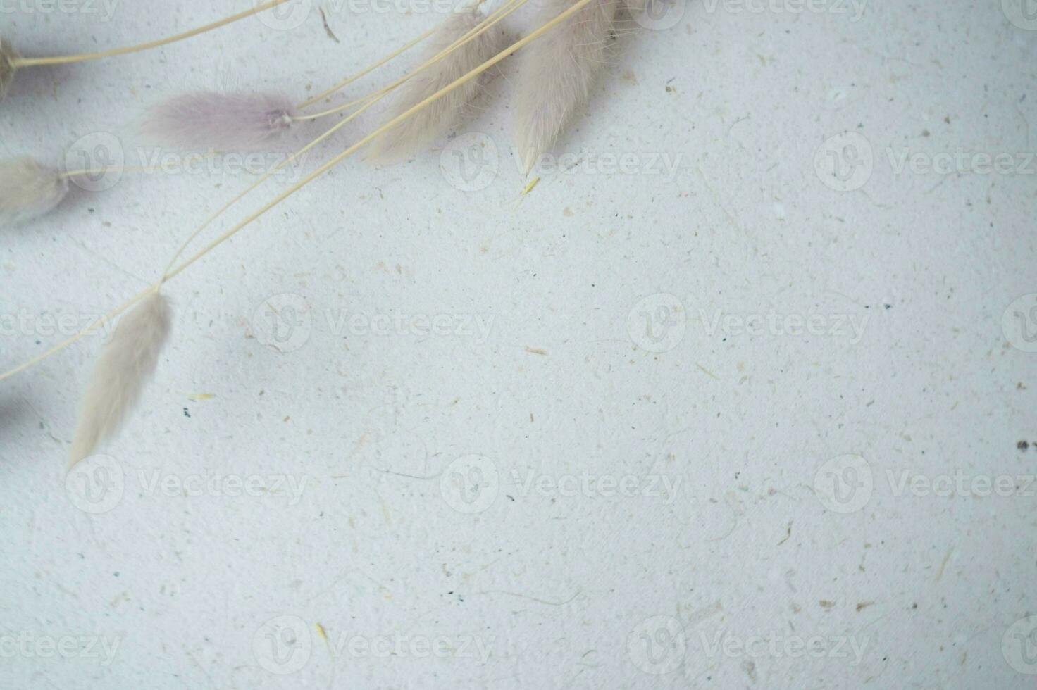 beautiful bunny tail on a grey background for copy space or background photo
