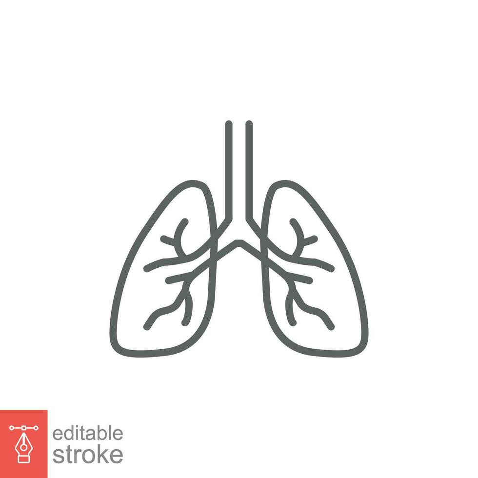 Lungs icon. Simple outline style. Human internal organ, lung, respiratory system, pulmonology concept. Thin line symbol. Vector illustration isolated on white background. Editable stroke EPS 10.