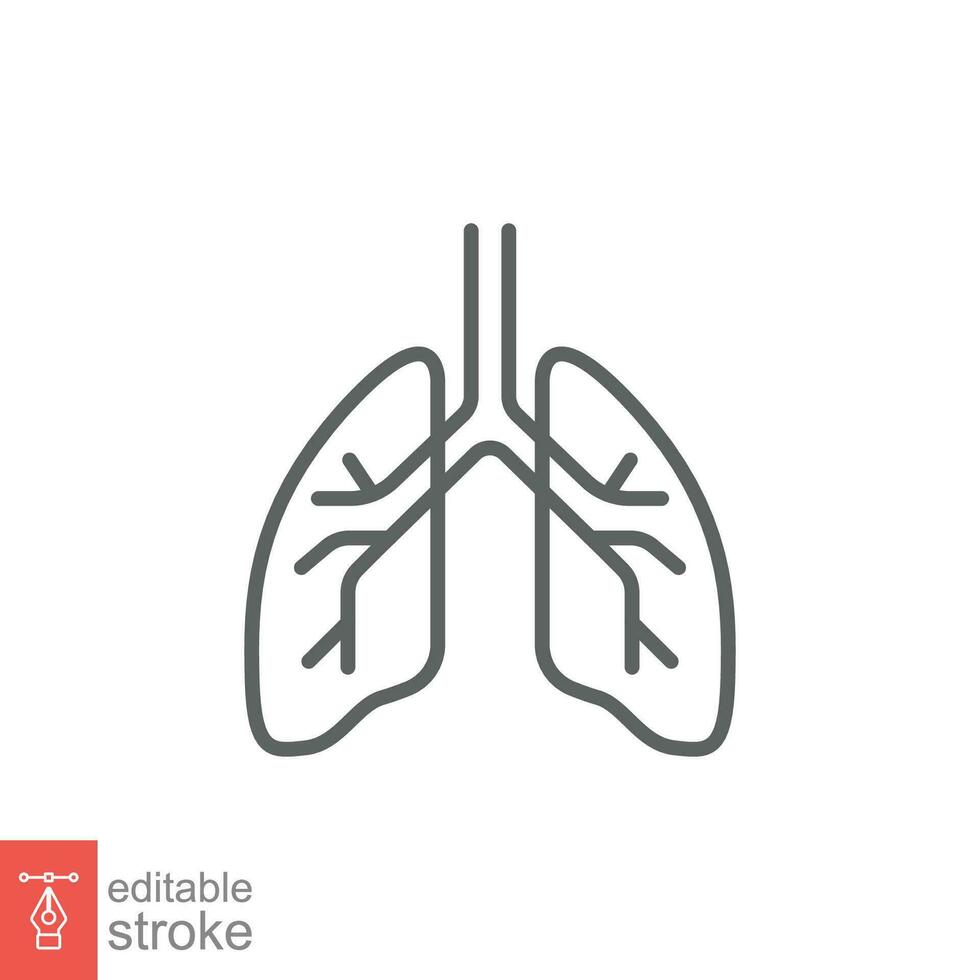 Lungs icon. Simple outline style. Human internal organ, lung, respiratory system, pulmonology concept. Thin line symbol. Vector illustration isolated on white background. Editable stroke EPS 10.