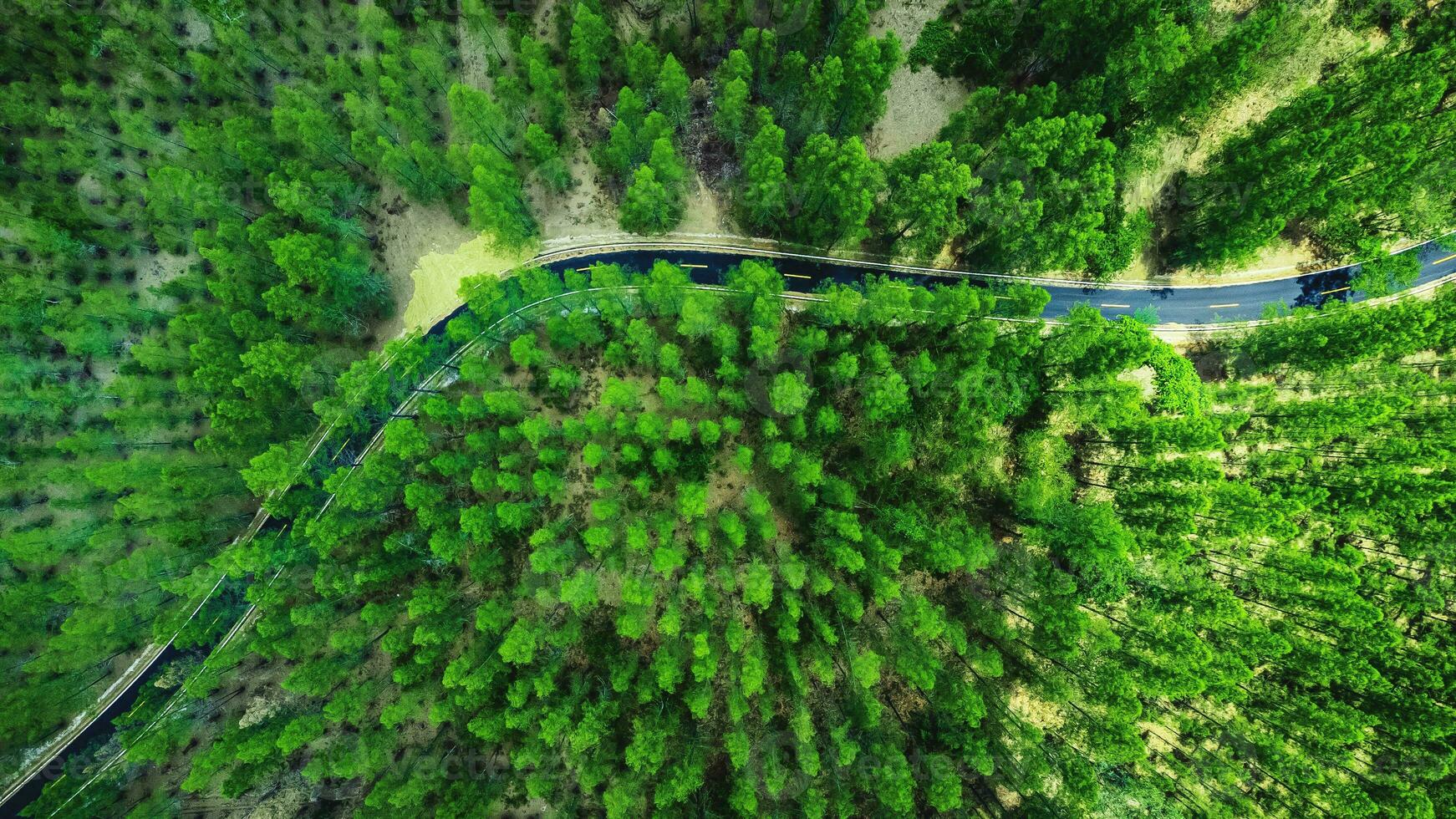 high angle shot Aerial view of pine forest and road photo