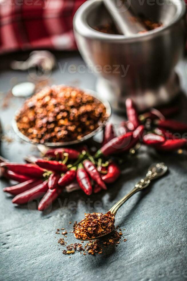 Dried ground chili on spoon close up photo