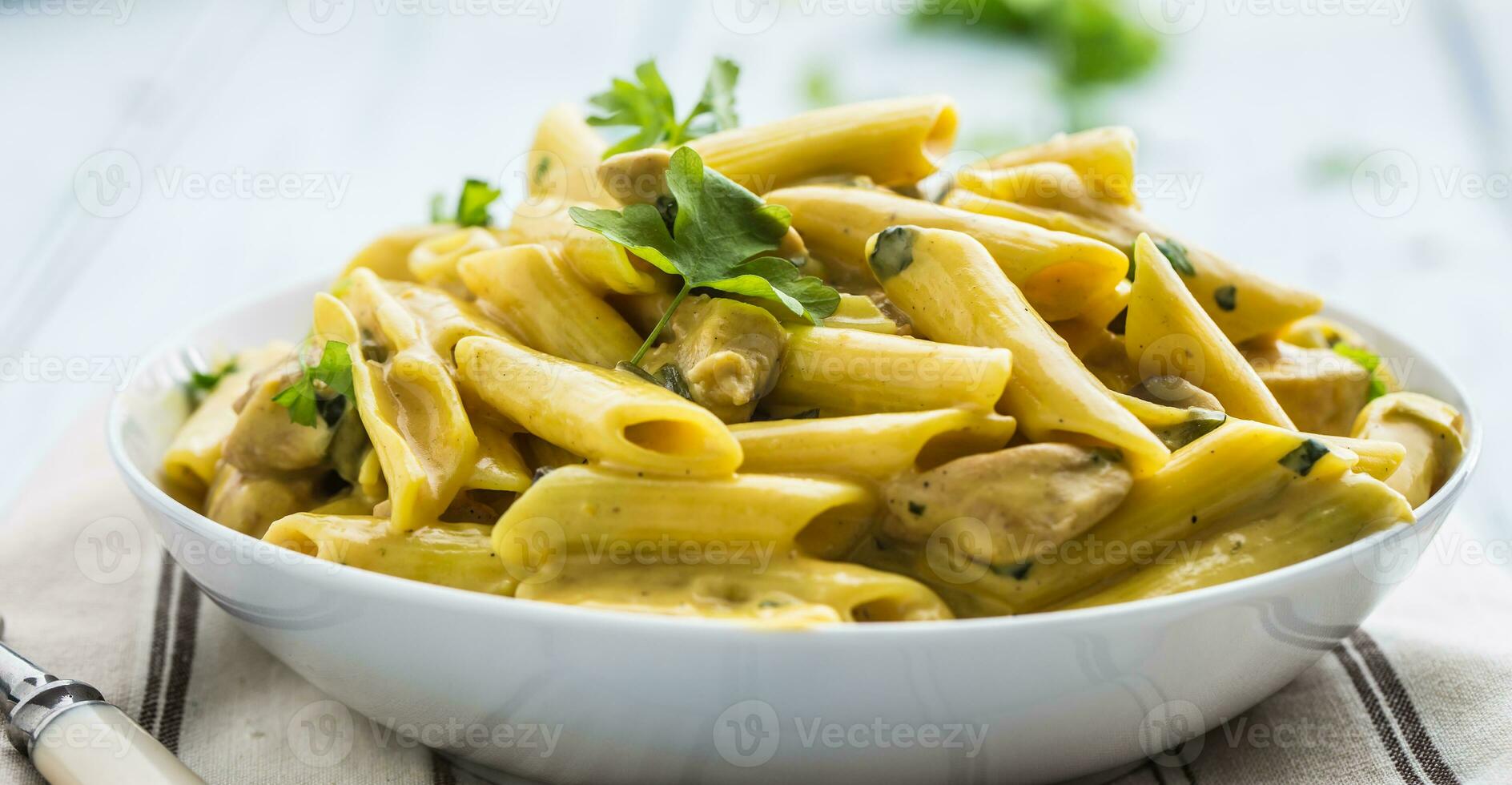 Pasta pene with chicken pieces mushrooms parmesan cheese sauce and herb decoration. Pene con pollo - Italian or medierranean cuisine photo