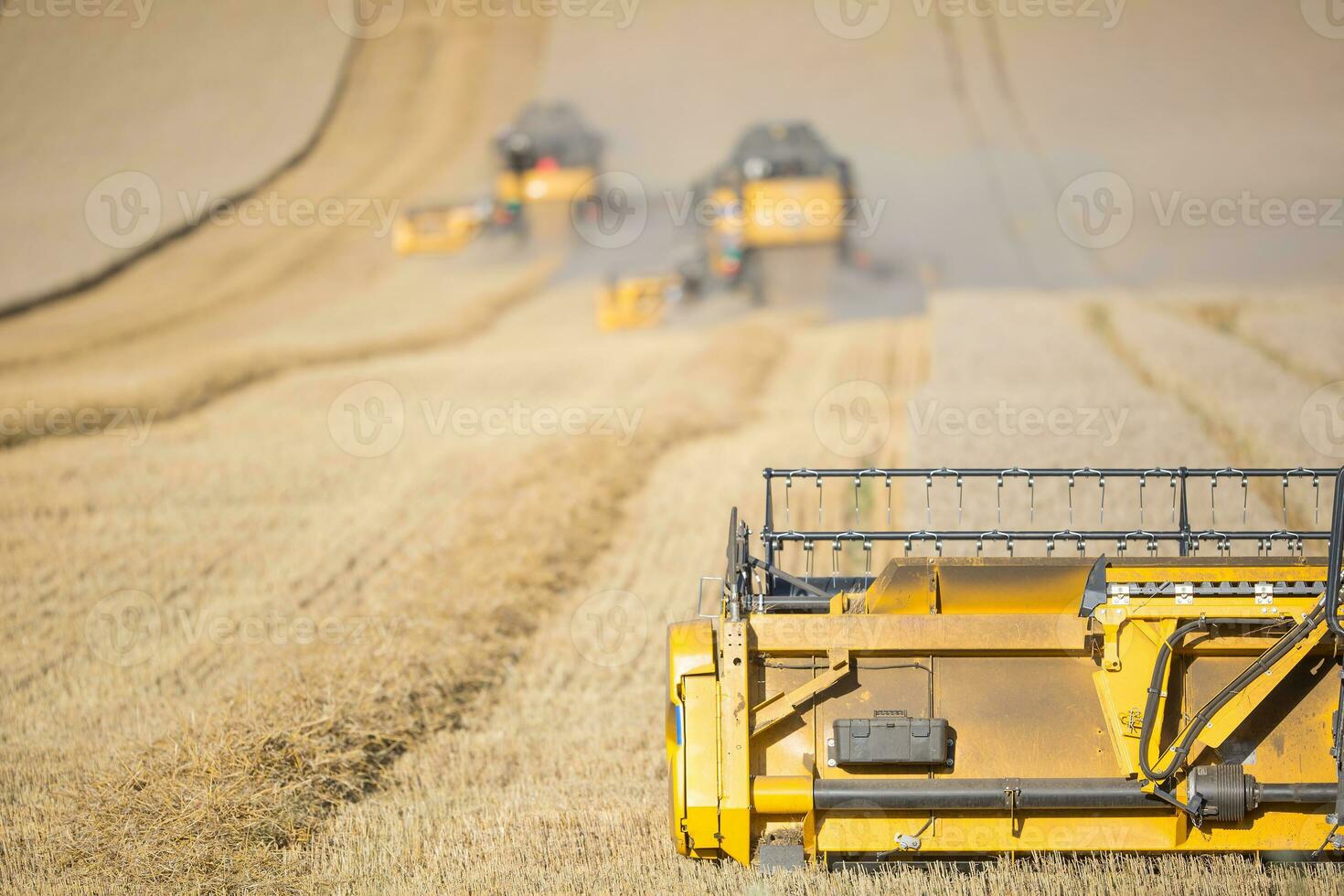 Combine harvester in work on wheat field photo