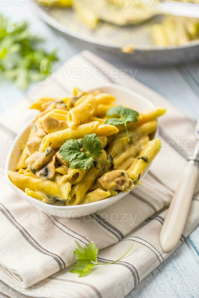 Pasta pene with chicken pieces mushrooms parmesan cheese sauce and herb decoration. Pene con pollo - Italian or medierranean cuisine photo