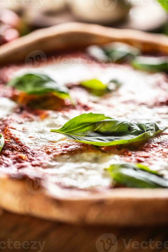 Pizza Napoletana - Napoli tomato sauce mozzarella and basil photo