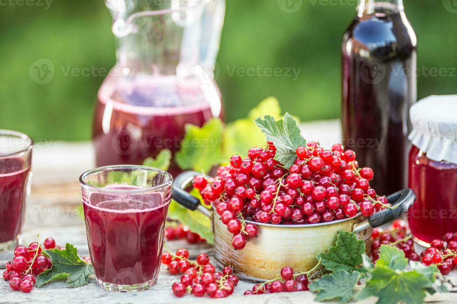 A selection of redcurrant products - marmalade jam syrup must and red vine on table in garden photo