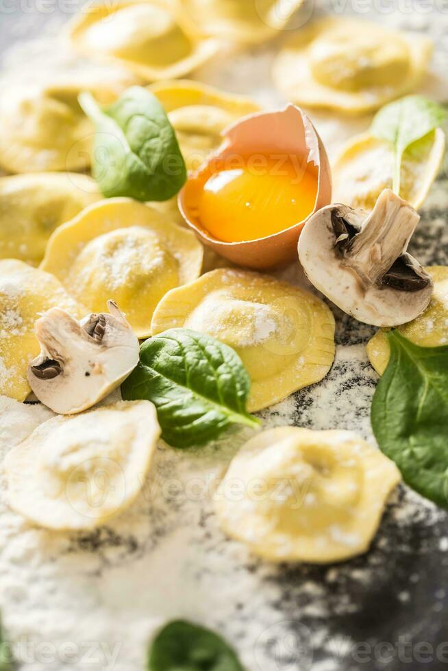 Raw ravioli with flour egg musrooms and and spinach - Top of view. Italian or mediterranean healthy cuisine photo