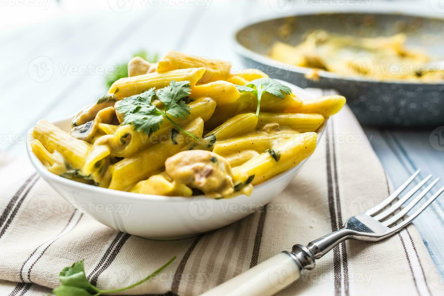 Pasta pene with chicken pieces mushrooms parmesan cheese sauce and herb decoration. Pene con pollo - Italian or medierranean cuisine photo