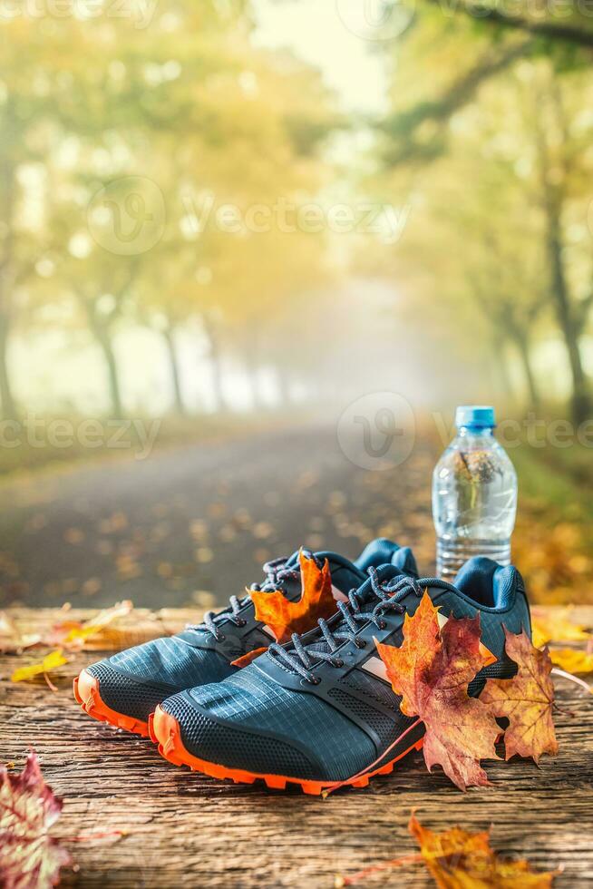 Blue sport shoes and water laid on a wooden board. photo