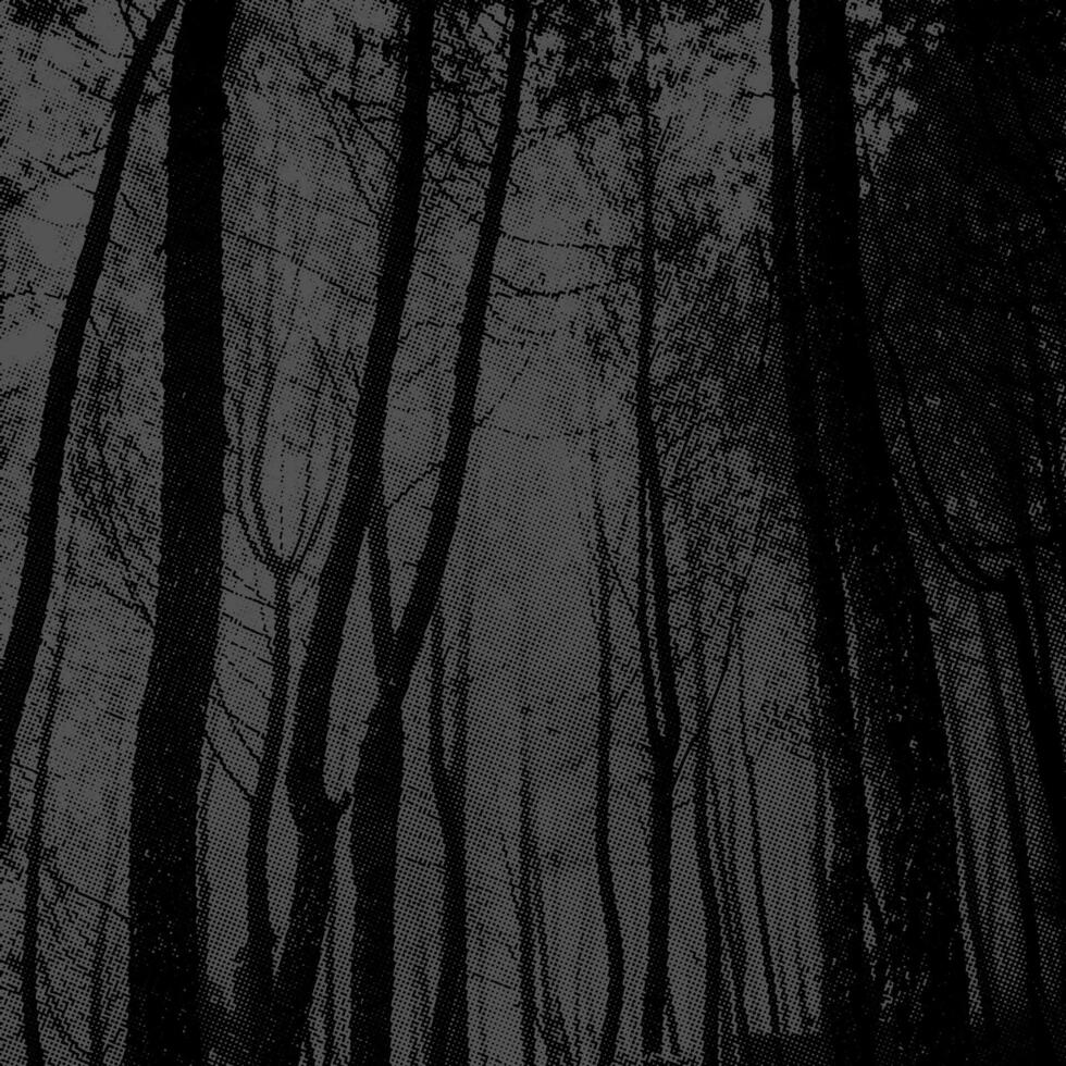 black white grunge forest vector background