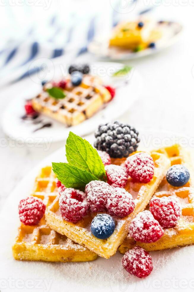 Fresh waffles with berries sugar powder ant mint leaves. photo