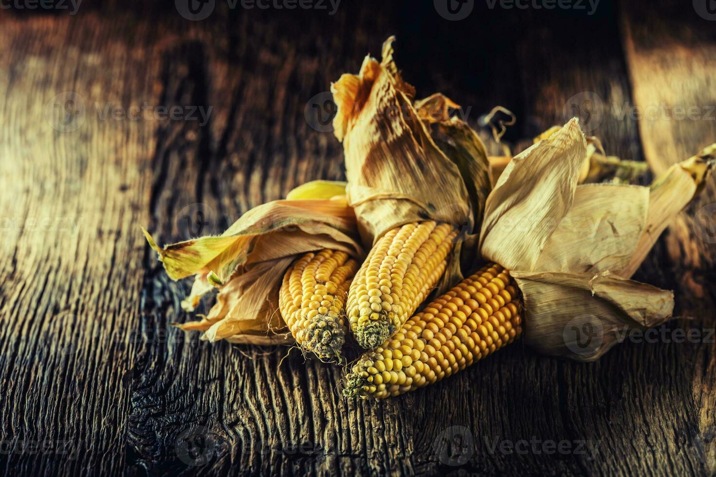 Corn. Dry Corncobs on rustic oak table photo