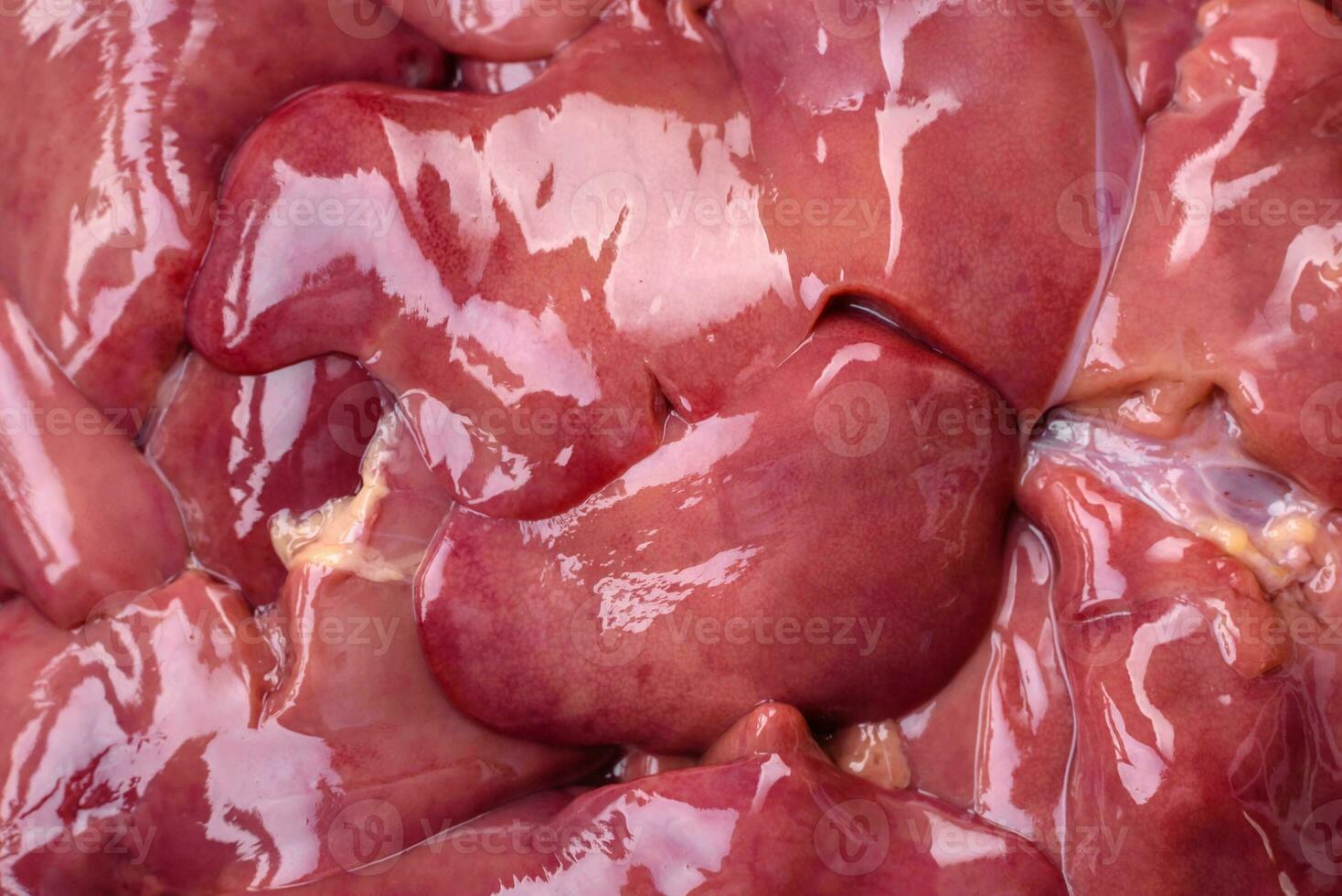 Fresh raw chicken or turkey liver in a ceramic plate with salt, spices and herbs photo