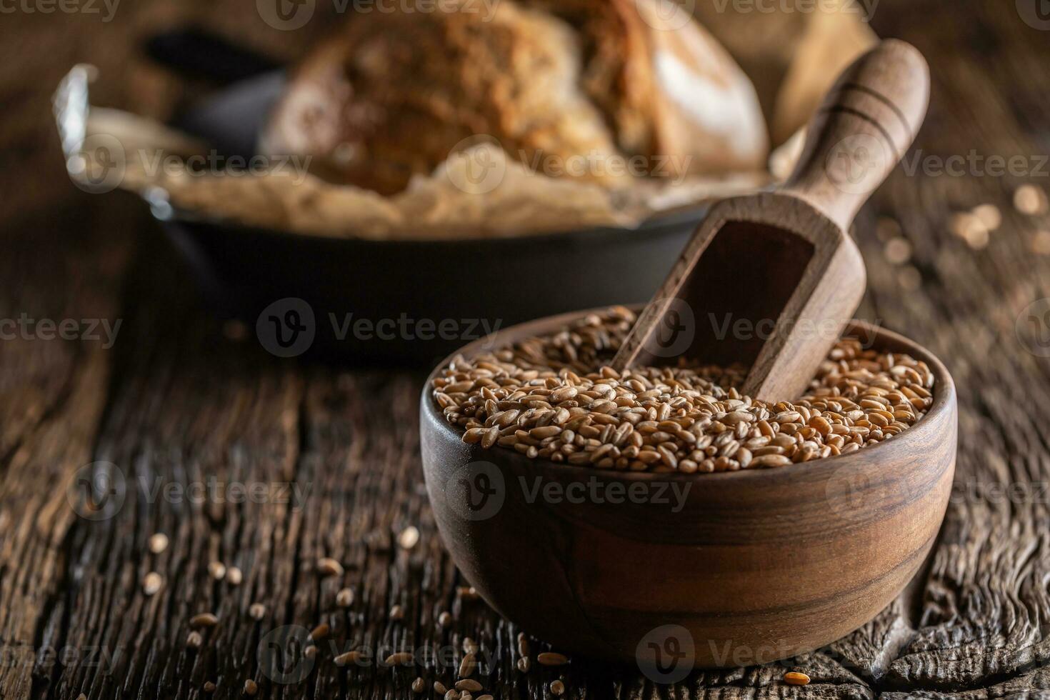 trigo granos-los principal ingrediente de el un pan lleno en de madera cuenco y de madera rústico cucharón cosido profundamente en. hornear crujiente un pan en el fondo foto