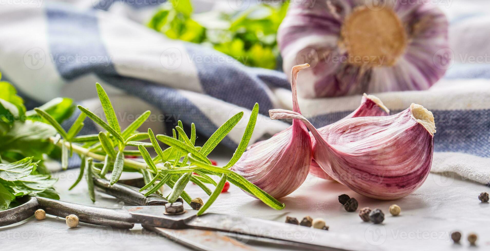 Garlic Cloves and Bulbs with rosemary salt and pepper. photo