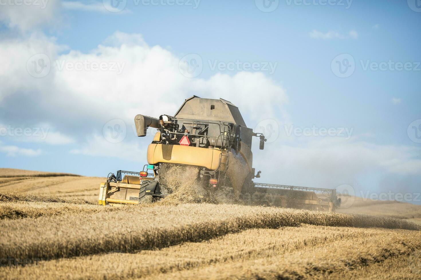 Combine harvester in work on wheat field photo