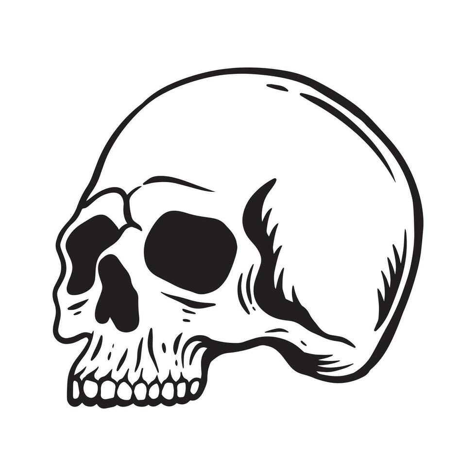 Skull hand drawn illustrations for the design of clothes, stickers, tattoo etc vector